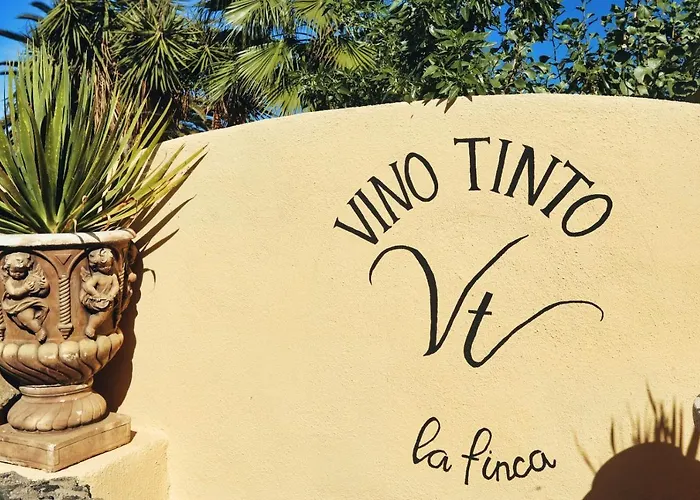 Vino Tinto 1