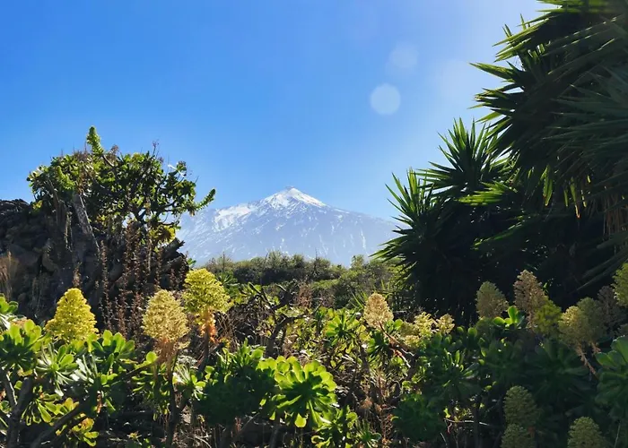 Vino Tinto 1 Apart-hotel Icod De Los Vinos