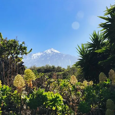 Vino Tinto 1 Hotel apartamentowy Icod De Los Vinos
